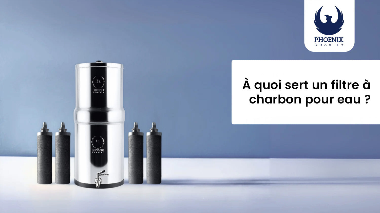 À quoi sert un filtre à charbon pour eau? Guide complet