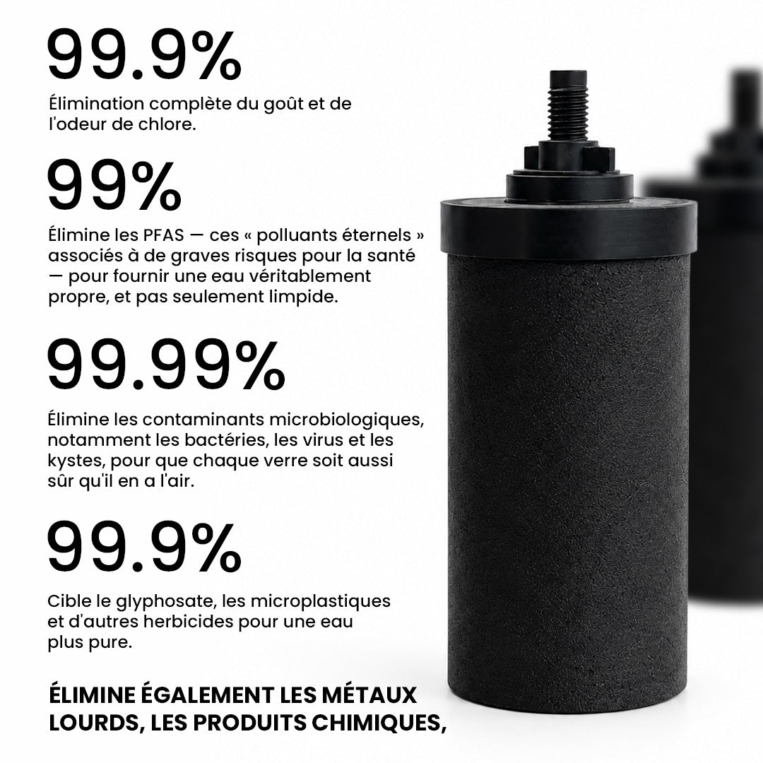 Le Phoenix Gravity Mini - 1L