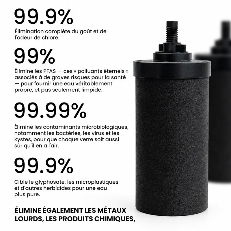 Le Phoenix Gravity Mini - 1L