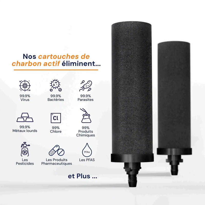 Smart Carbon Cartouches