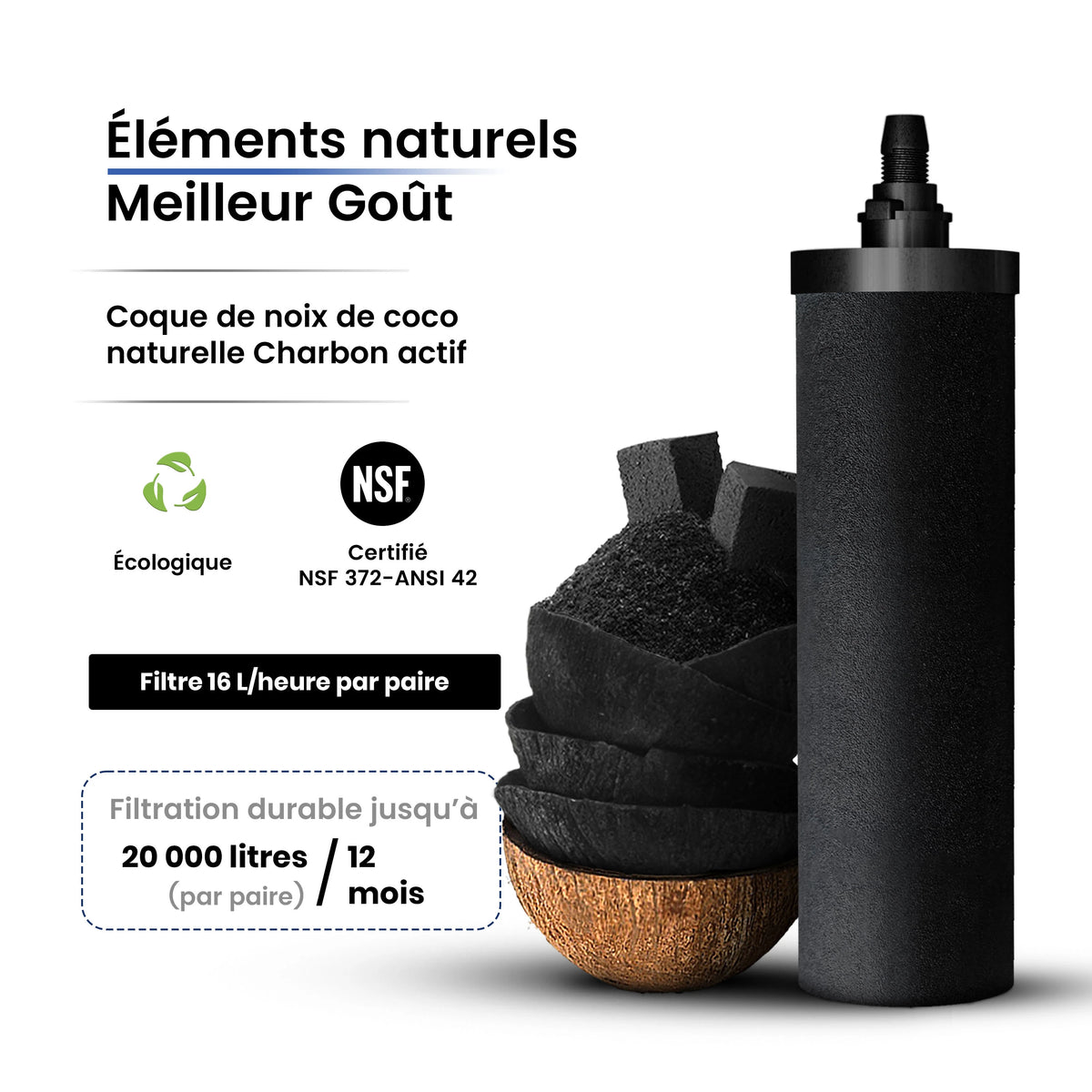 Cartouche filtrante POSTreat™ pour l'élimination des fluorures