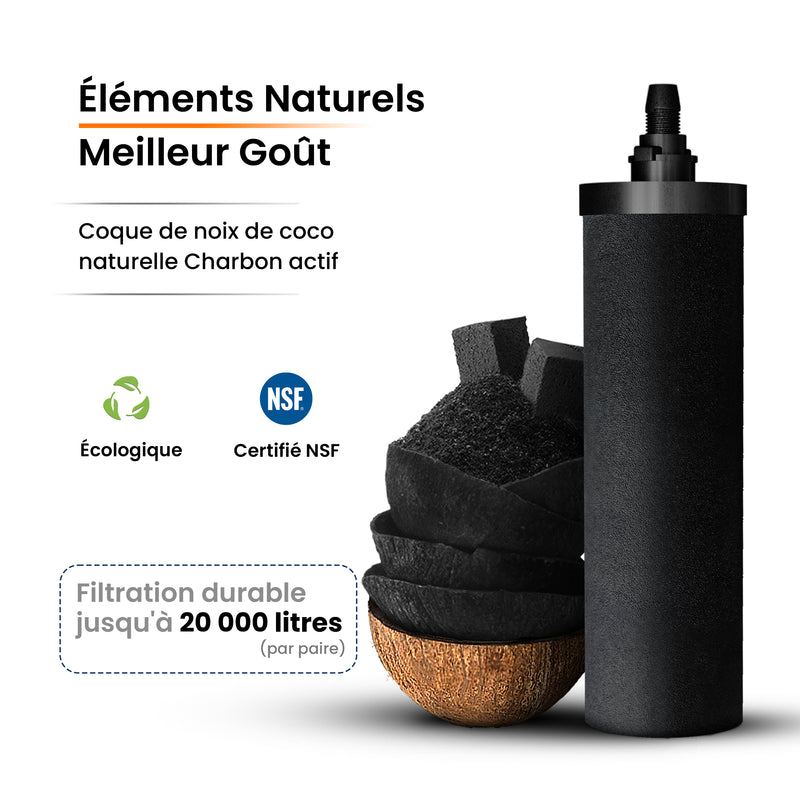 Le filtre à eau par gravité Phoenix (Copy)