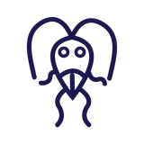 Kystes De Giardia