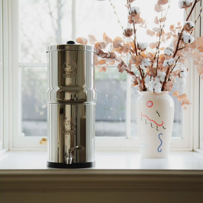 Silver water dispenser on a windowsill with a vase of cotton plants in the background