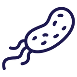 Parasites