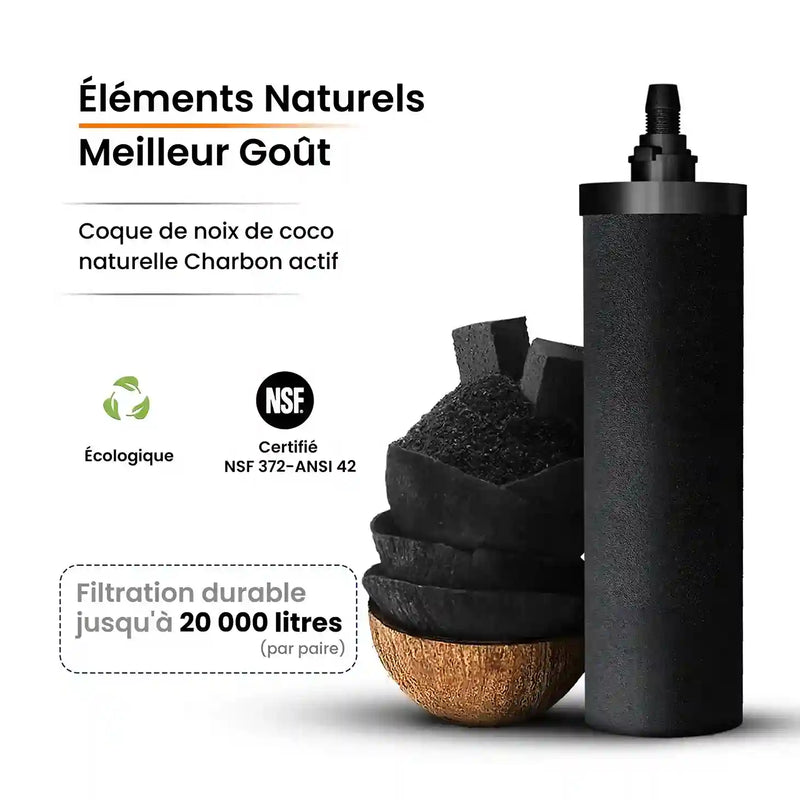 Le filtre à eau par gravité Phoenix