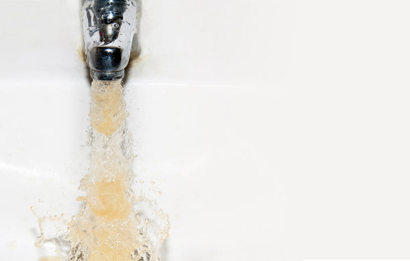 Phoenix Gravity Water Filter